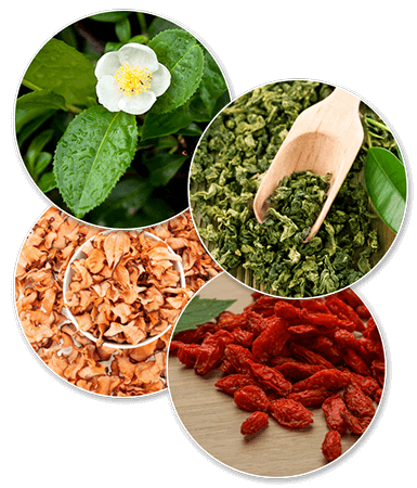 Kerassentials Ingredients